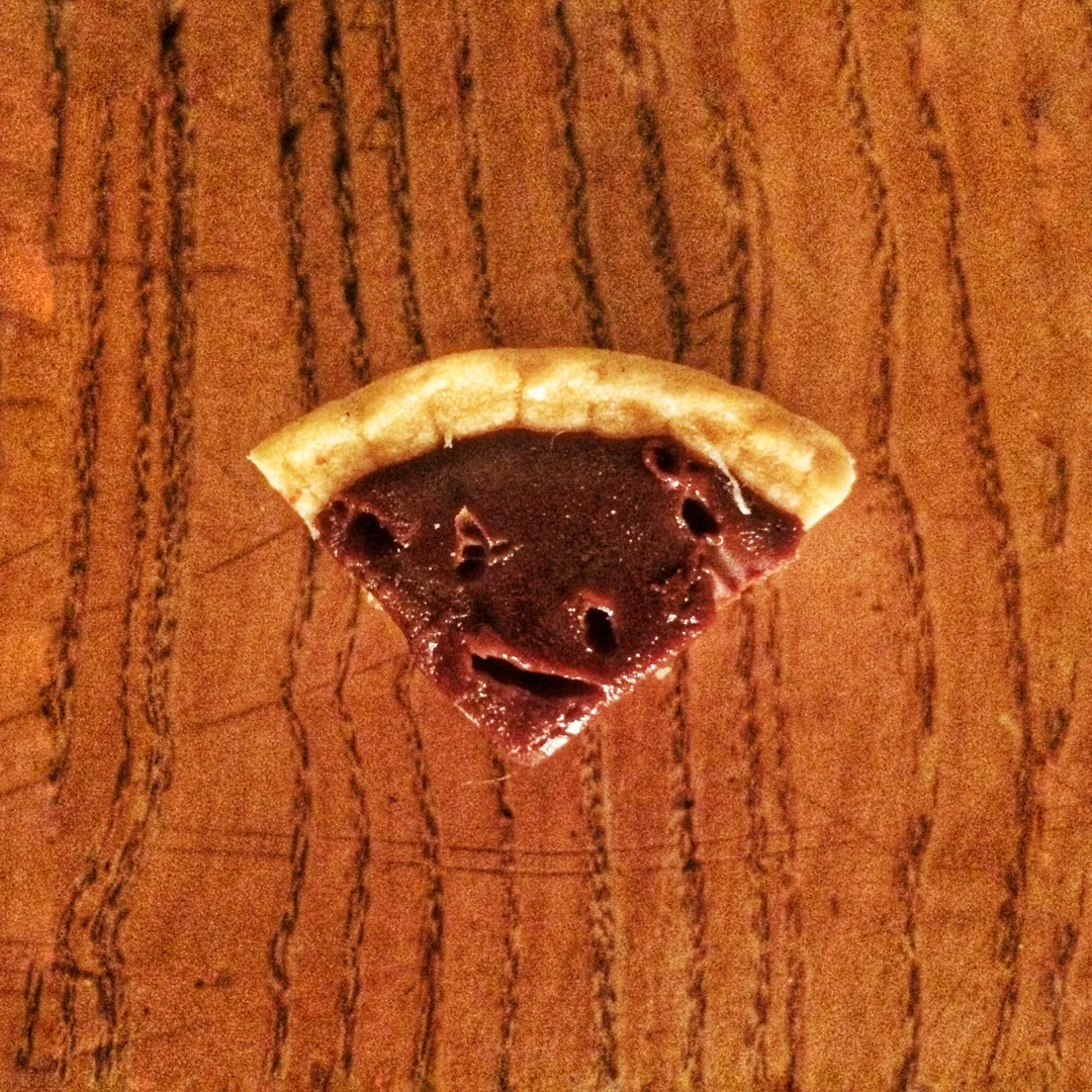 Part de tartelette au chocolat mordue par un chat.