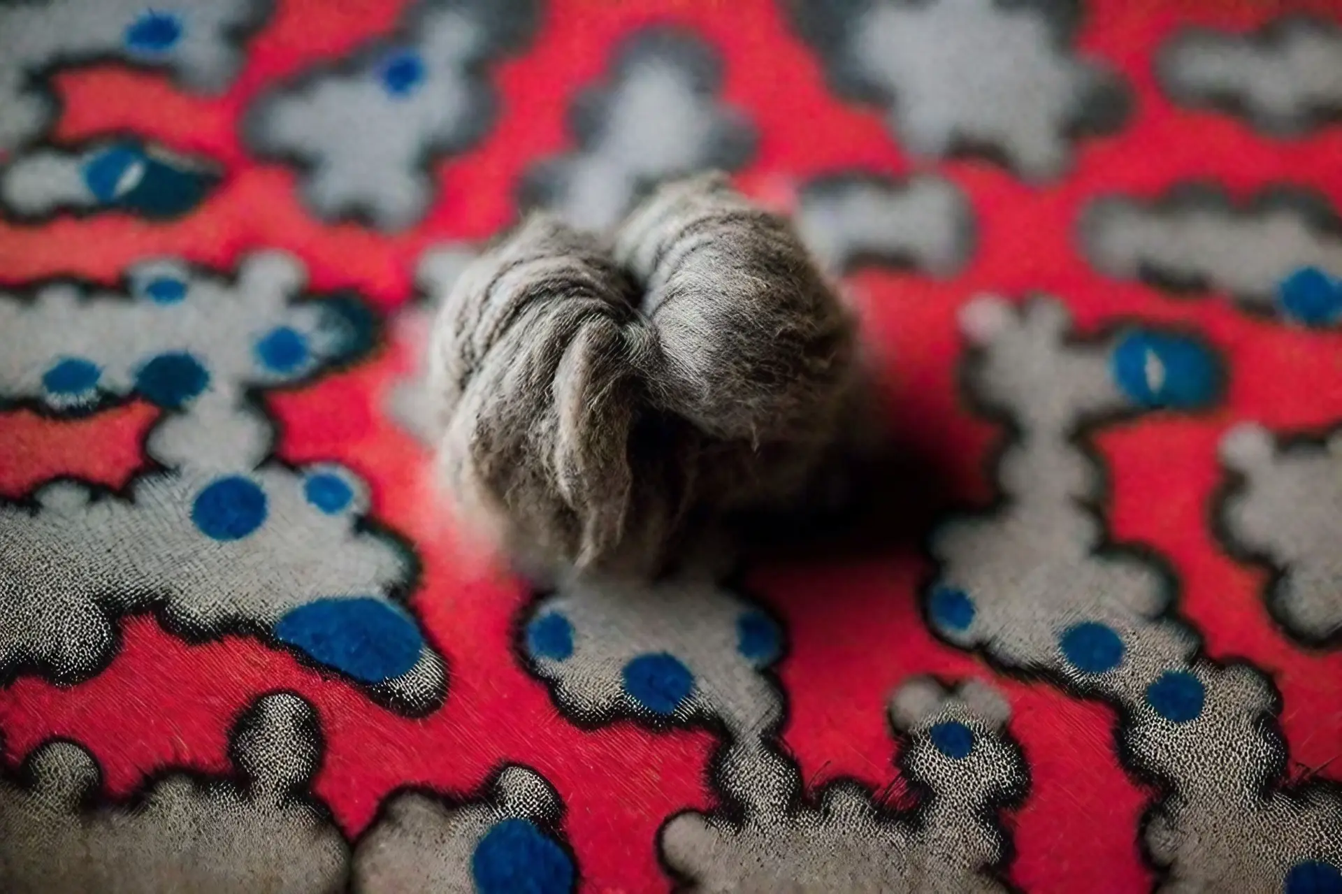 Boule de poils de chat sur toile cirée ? Archive du jeudi 18 juillet 2024 ?