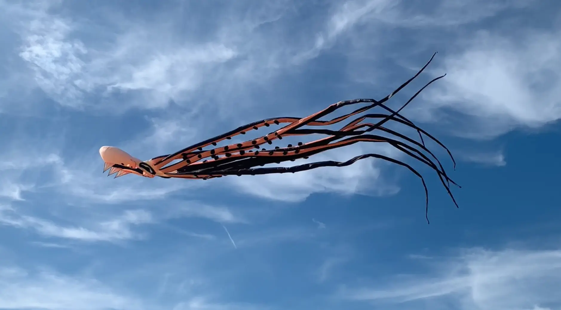 Cerf-volant, plage de Berck, Pas-de-Calais. Jeudi 15 août 2024 à 17h32.