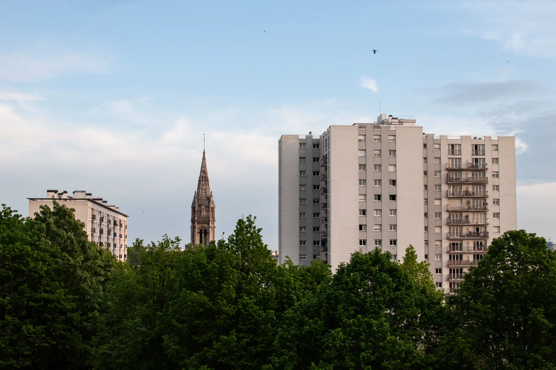 Arbres, immeuble, église, oiseau, vus du Belvédère de Belleville. Journal du jeudi 16 avril 2020.