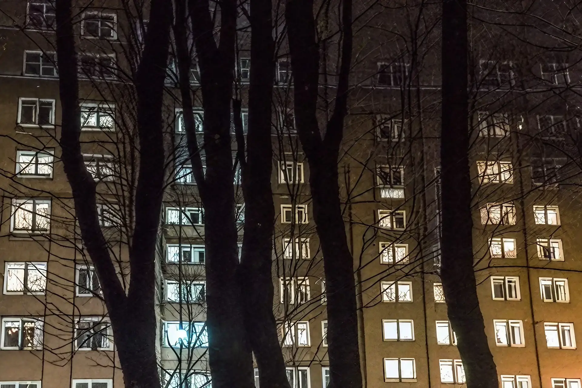 Arbres ? Immeuble ? Nuit ? Paris ? Archive du mardi 2 janvier 2024 ?