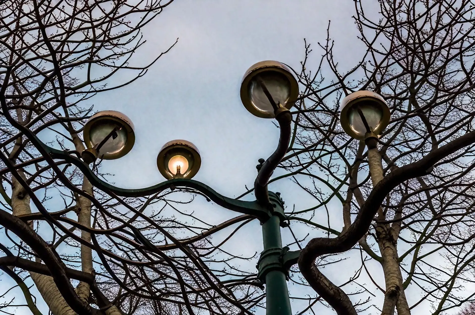 Réverbères ? Arbres ? Archive du dimanche 21 février 2021 ?